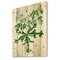 Designart - Vintage Drawing of Wild Plants - Traditional Print on Natural Pine Wood